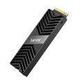 Lexar NM800P 2TB PRO LNM800P002T-RN8NG PCIe GEN4X4 M.2 NVMe 7500-6300Mb/s Soğutuculu SSD 4